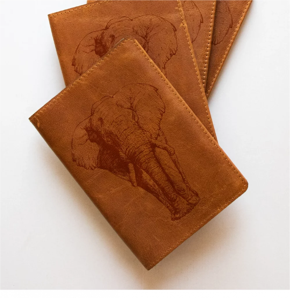 Maji restaurant collateral