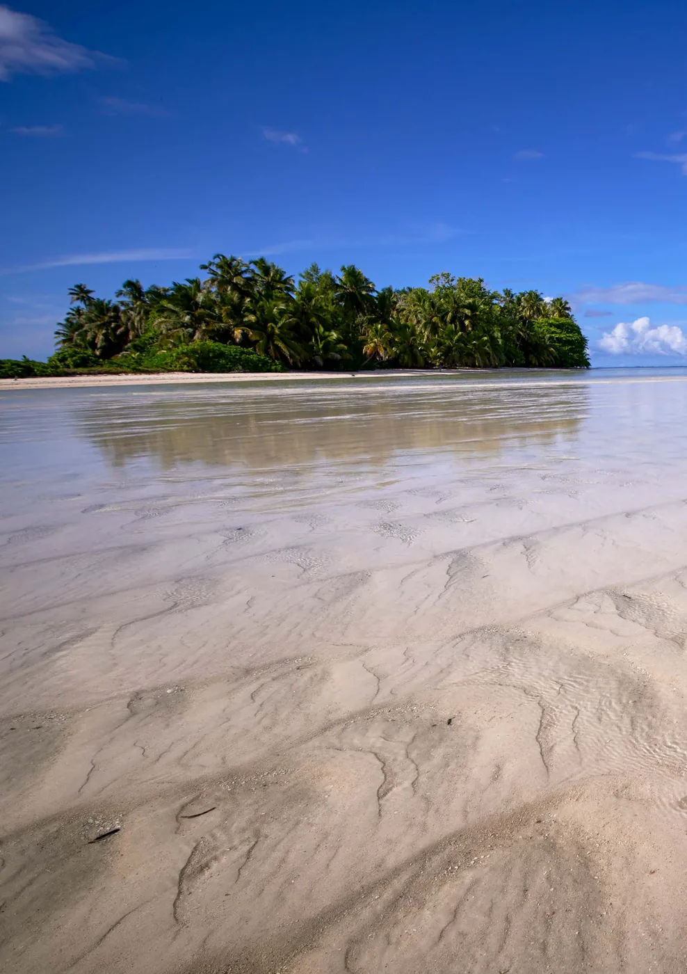 A quiet sandbar and palm island under soft light
